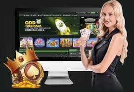 333bet win