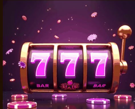 333bet win